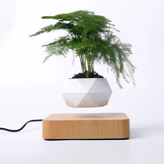 🌿 Levitating Air Bonsai Pot